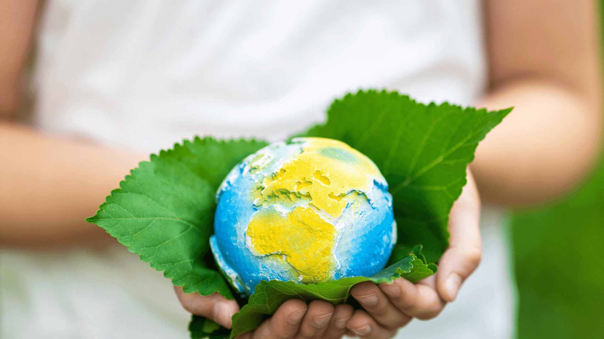 Unser Beitrag zur besseren Welt