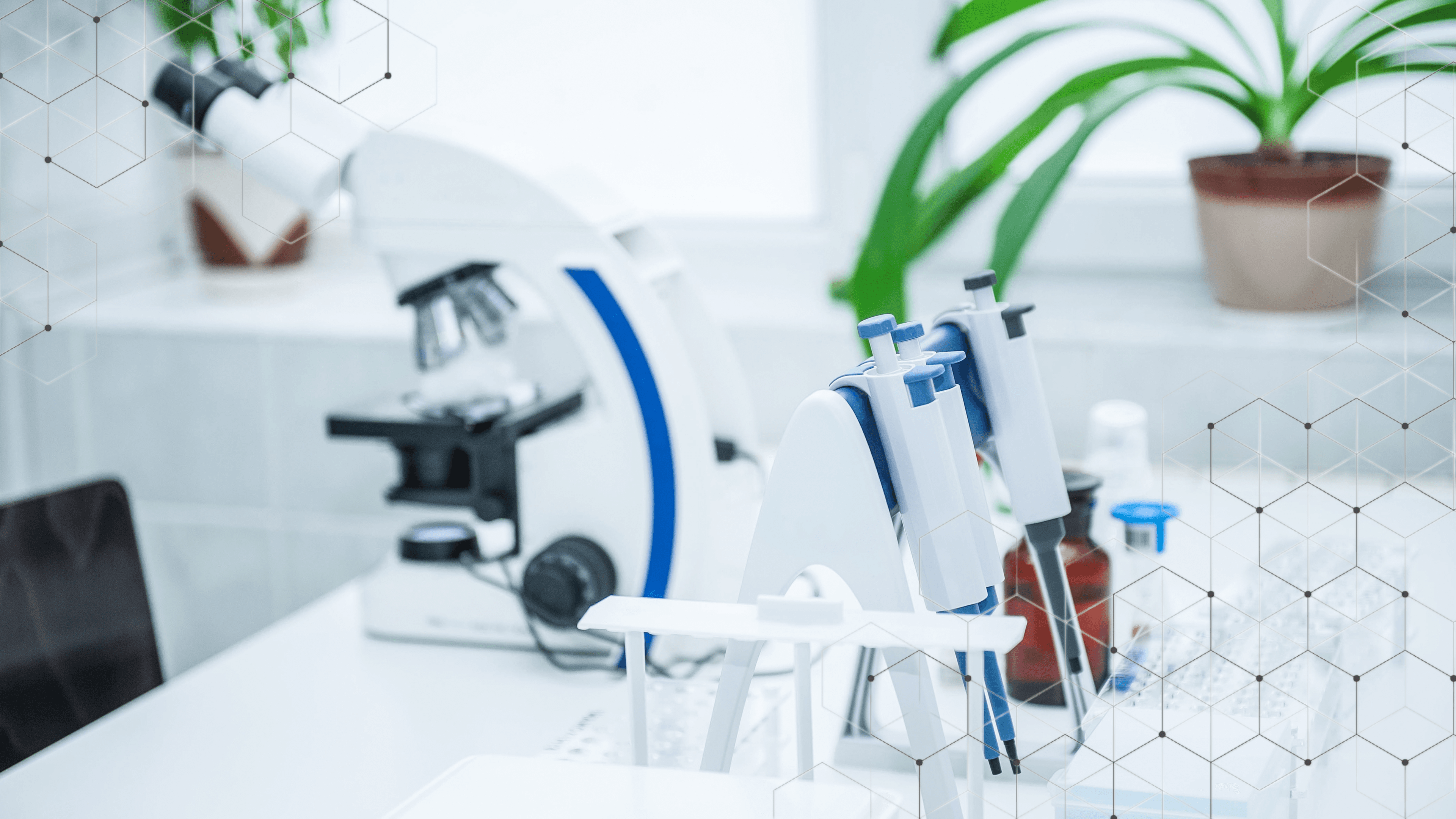 Good Manufacturing Practice Kurs